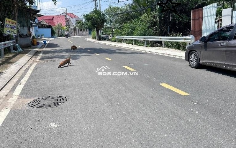[XN41 - QUỸ ĐẤT CHIẾN LƯỢC] MẶT TIỀN TỈNH LỘ 15 CỦ CHI – 1.800m2 (25m x 72m)